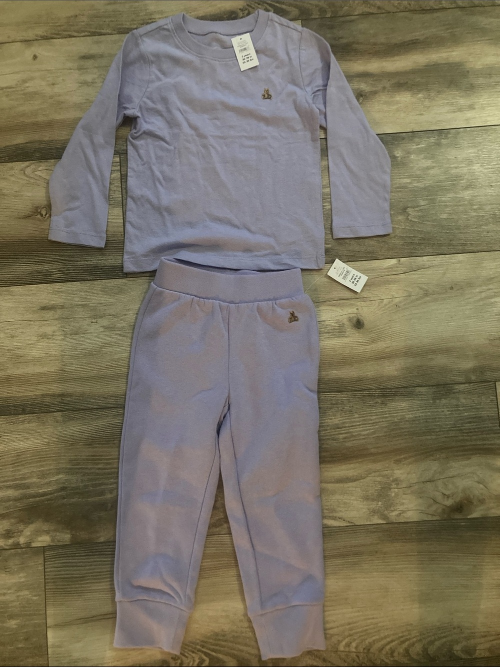 Gap Kids Brannans Favorite Purple Teddy Bear Longsleeve Pants Set Size 3T NWT